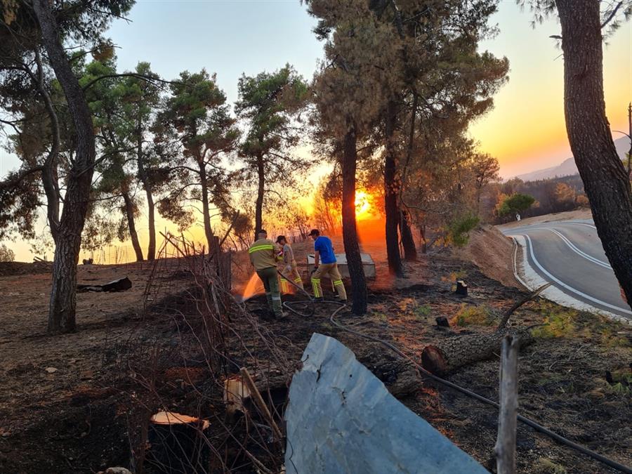 Einsatz Waldbrand Griechenland