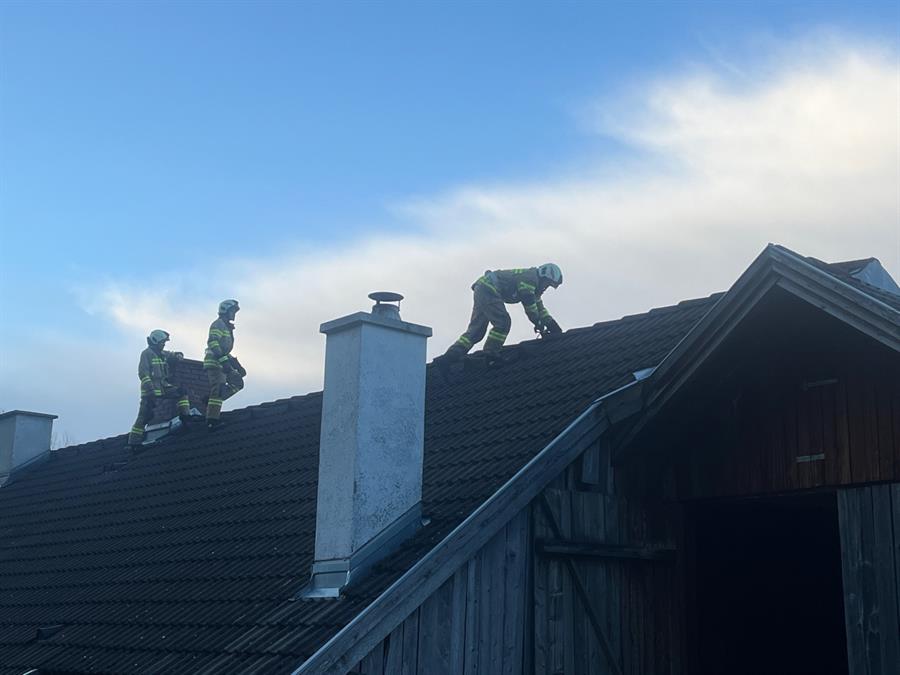 Eine Gruppe von Männern auf einem Dach
